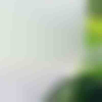 Самозалепващо се фолио за прозорци за защита от гледки | WINDOWFILM