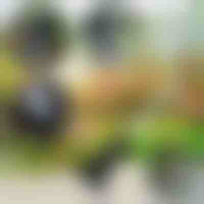 Градински инструмент 4 в 1 | VERSAX