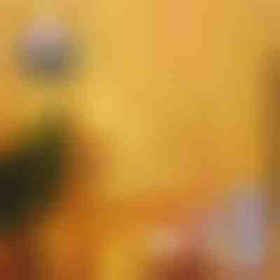 2x Празнична LED завеса | CURLIGHT