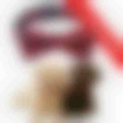 Празничен нашийник за кучета 1+1 БЕЗПЛАТНО | DOGICOLLAR